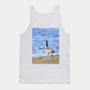 Canada Goose in Malheur NWR Tank Top